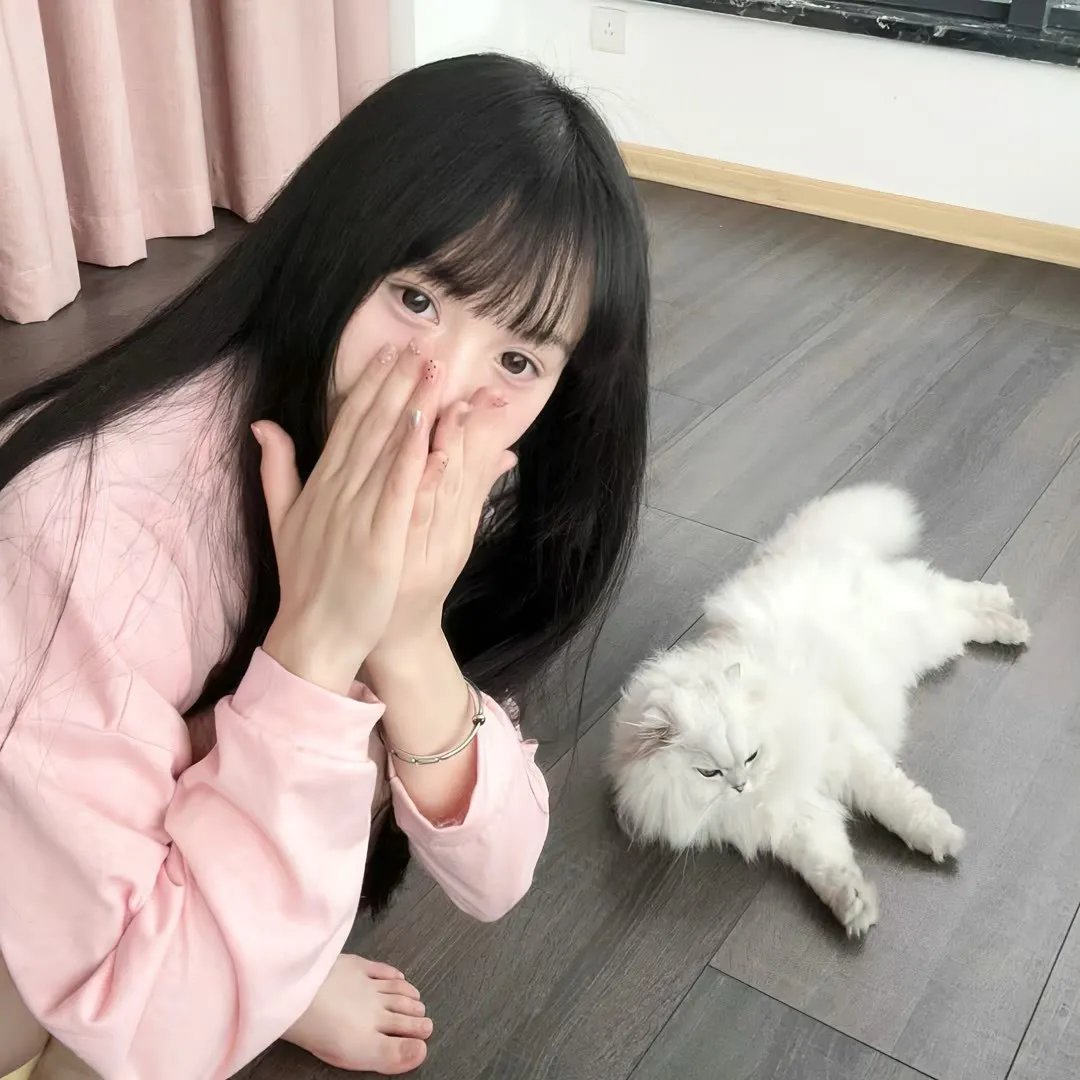 无为大师第三季